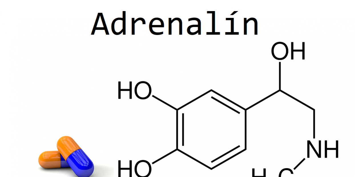 Картинки адреналин и норадреналин