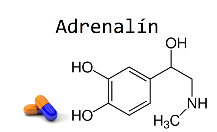 Adrenalín