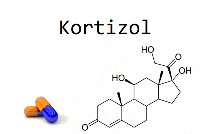kortizol