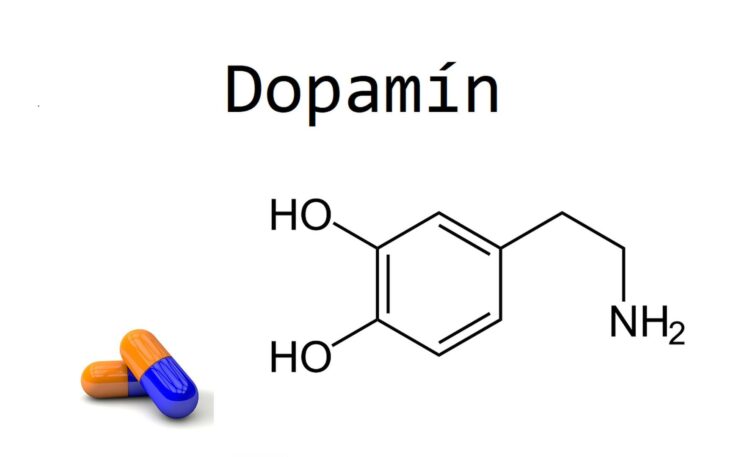 dopamín (Kopírovať) dopamín