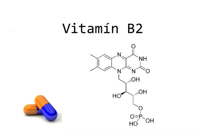 vitamín b2