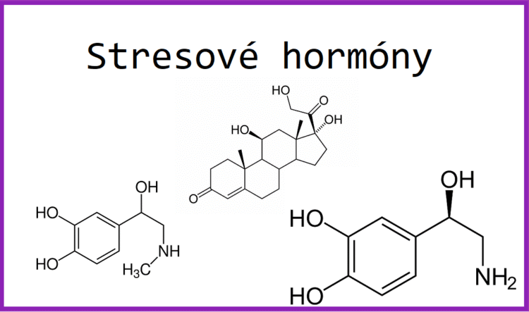stresové hormony stresové hormony