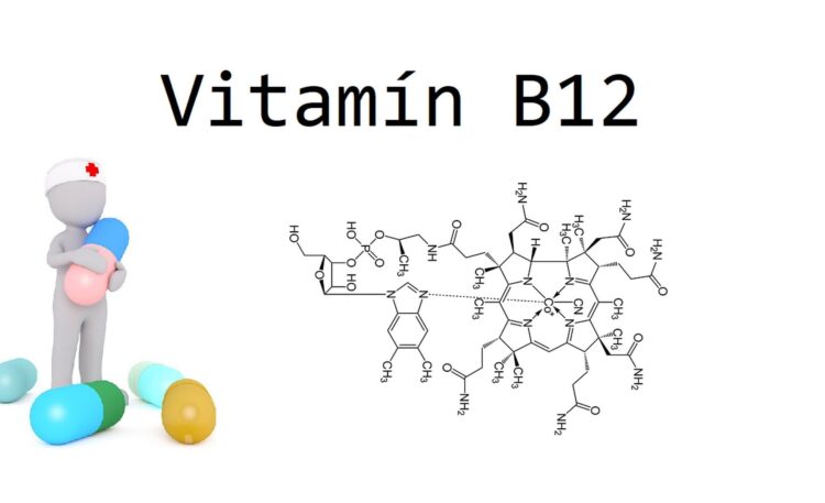 vitamín b 12 kobalamín