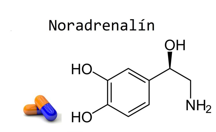 noradrenalín